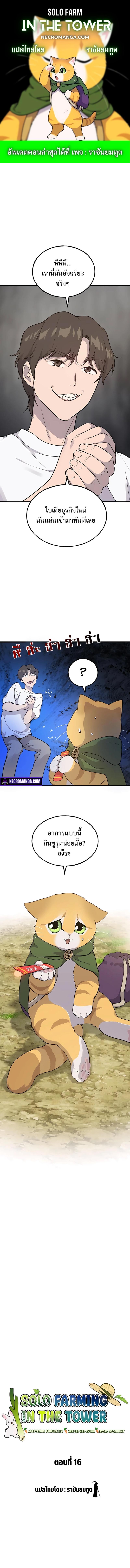 Solo Farming In The Tower ตอนที่ 16 1
