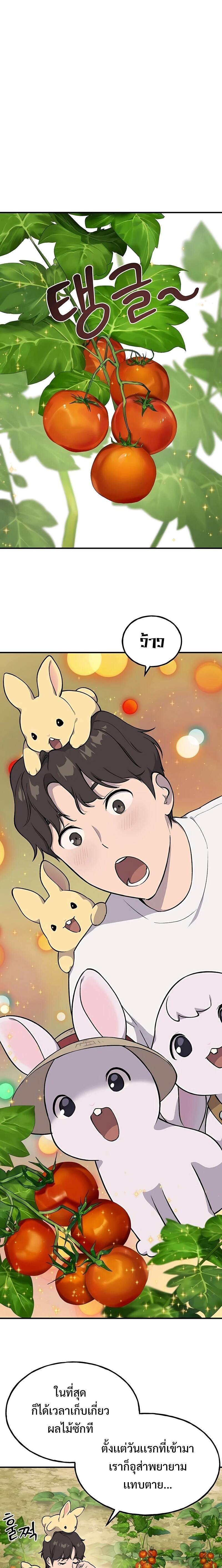 Solo Farming In The Tower ตอนที่ 6 13