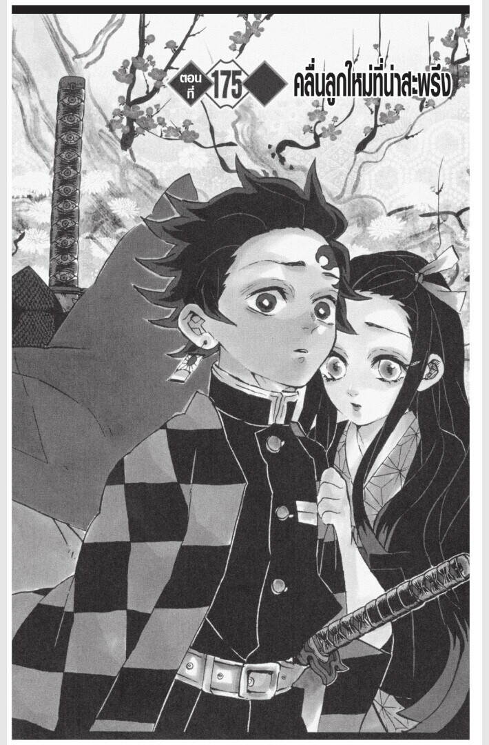 Kimetsu no yaiba ตอนที่ 170-178 106