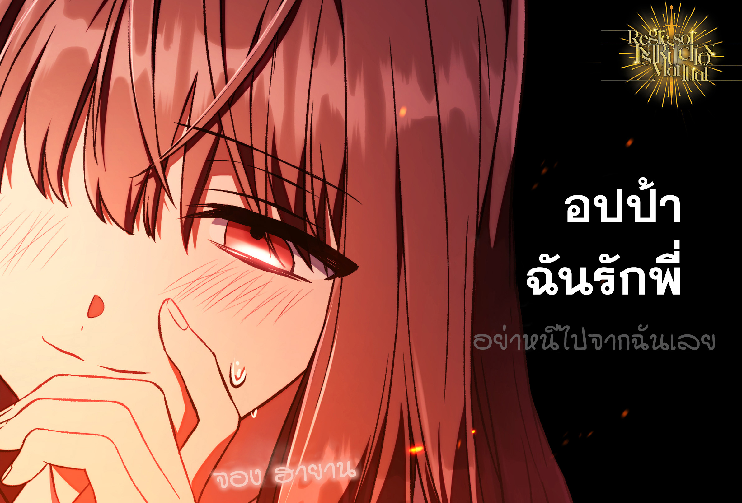 Regressor Instruction Manual ตอนที่ 0 4