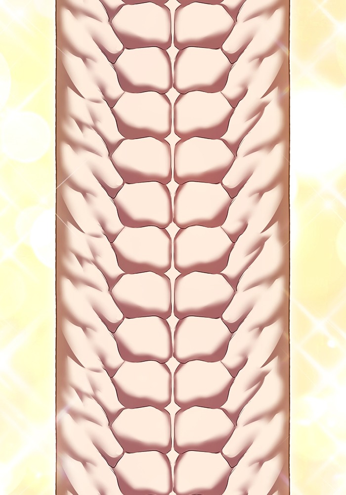 +99 Wooden Stick +99 ตอนที่ 129 66