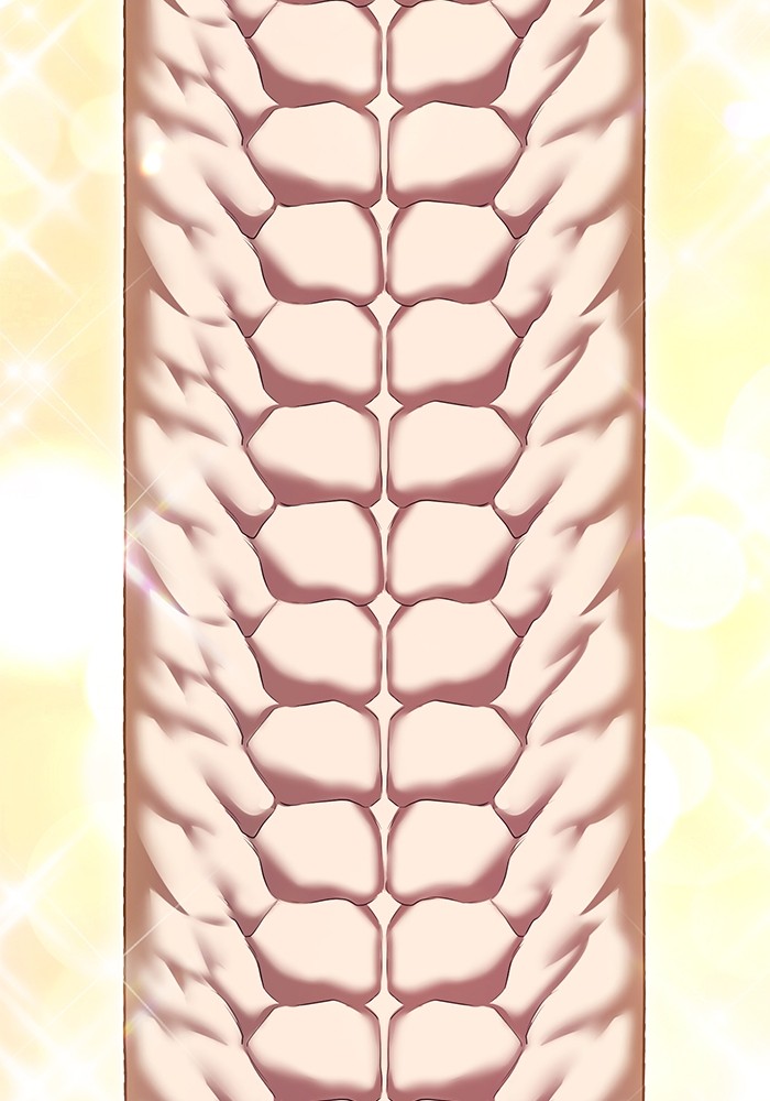 +99 Wooden Stick +99 ตอนที่ 129 67