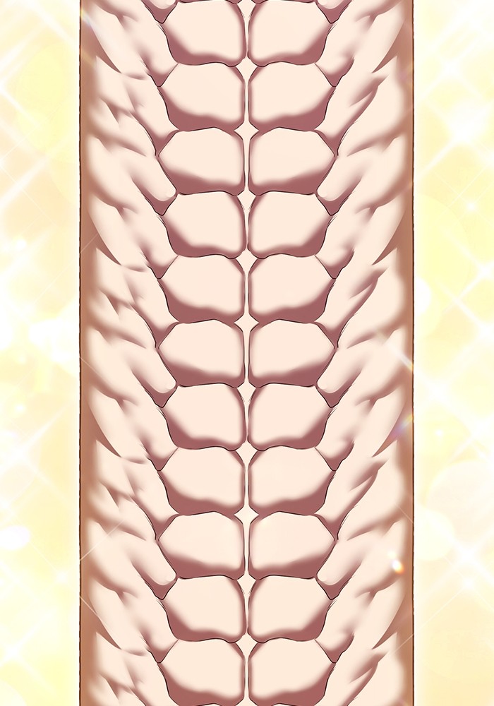 +99 Wooden Stick +99 ตอนที่ 129 68