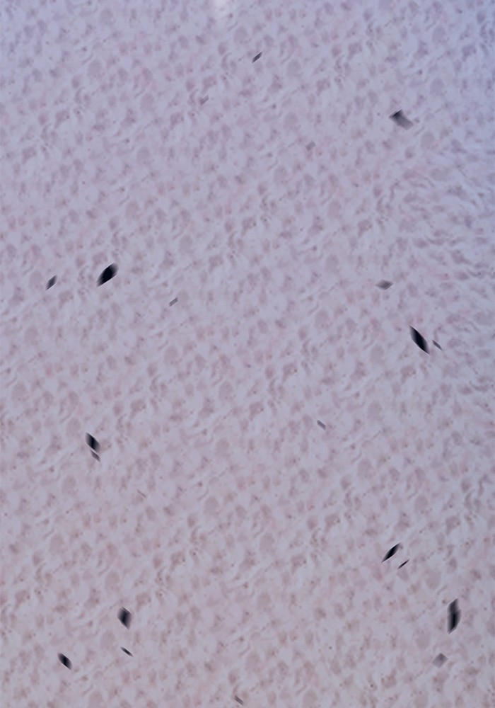 +99 Wooden Stick +99 ตอนที่ 132 380