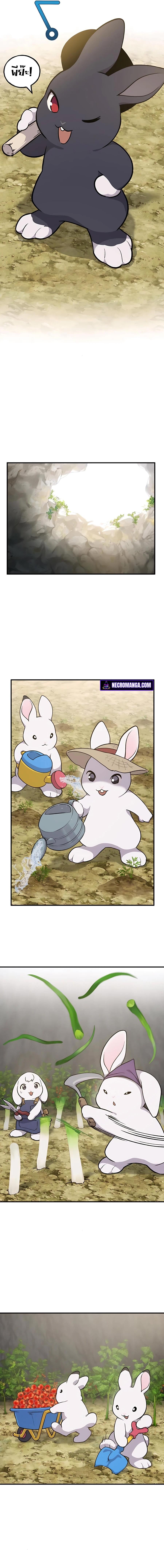 Solo Farming In The Tower ตอนที่ 10 หน้า 9