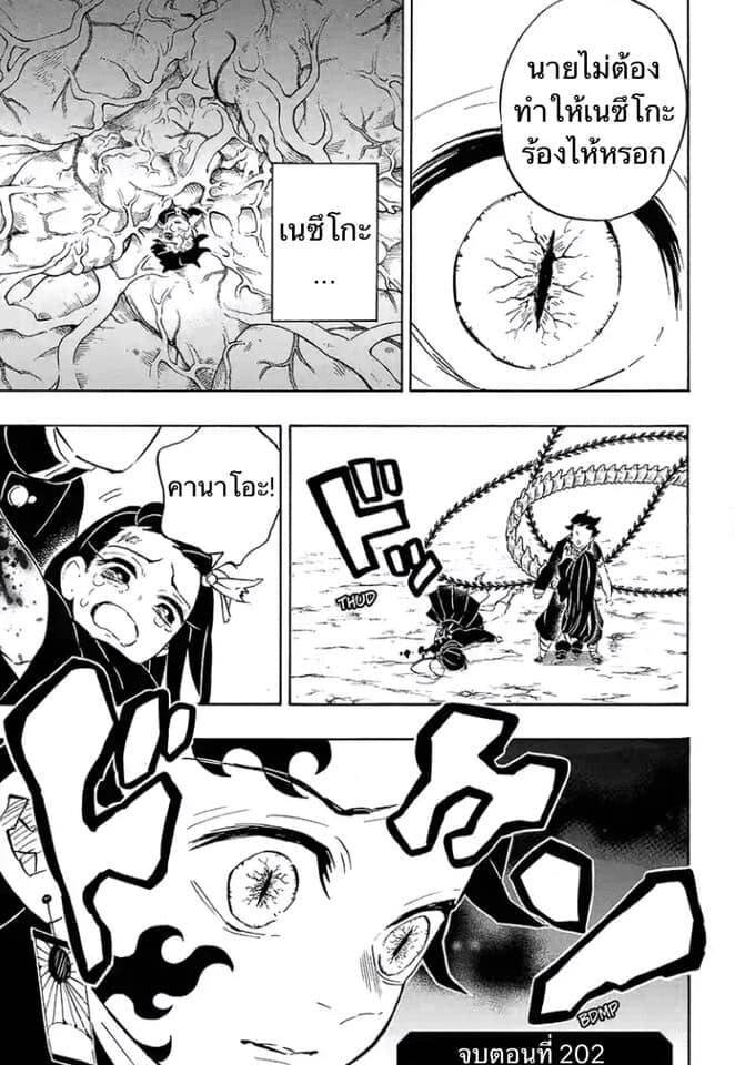 Kimetsu no yaiba ดาบพิฆาตอสูร ตอนที่ 197204 หน้า 115