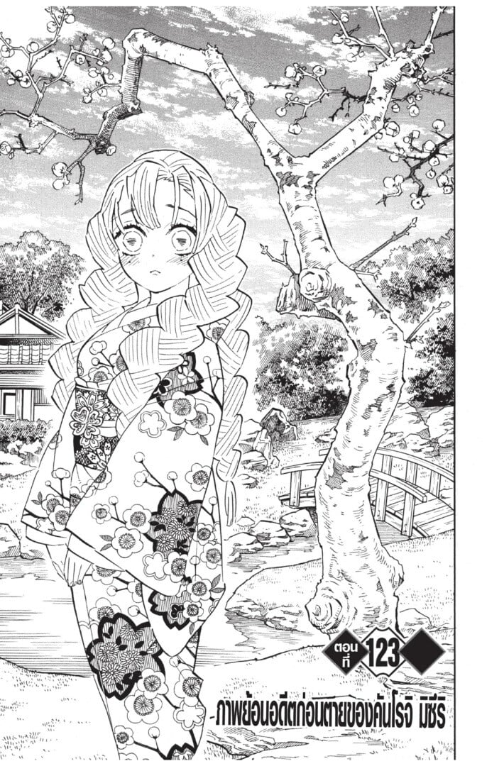 Kimetsu no yaiba ดาบพิฆาตอสูร ตอนที่ 116124 หน้า 149
