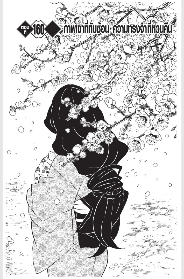 Kimetsu no yaiba ดาบพิฆาตอสูร ตอนที่ 152160 หน้า 171