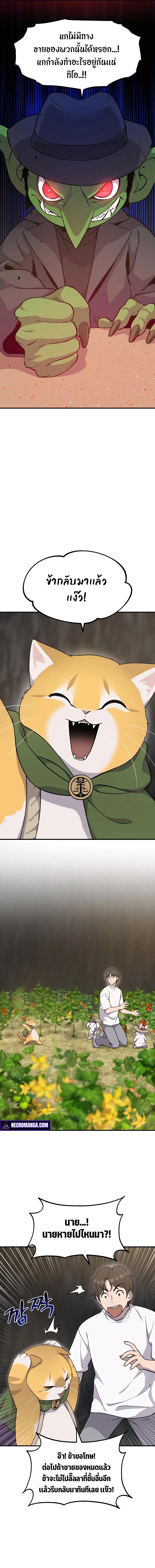 Solo Farming In The Tower ตอนที่ 13 หน้า 11