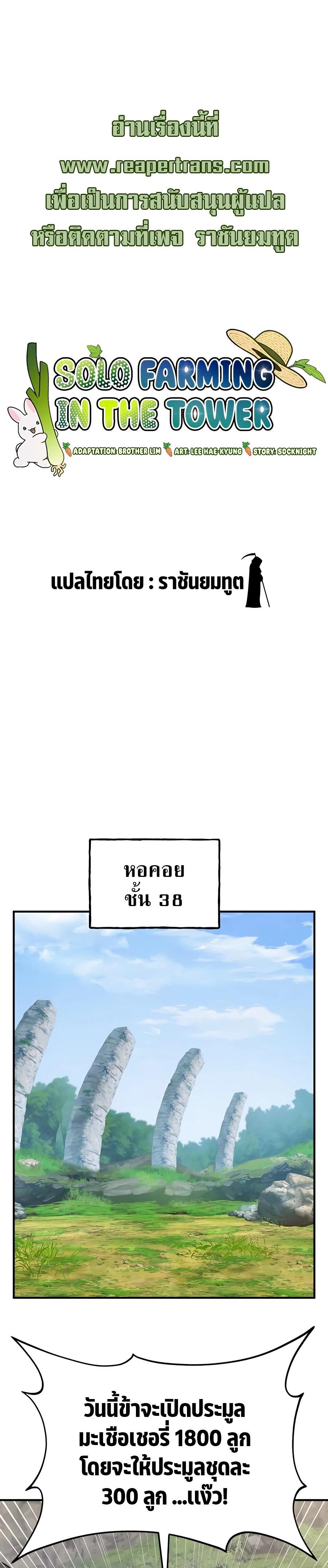 Solo Farming In The Tower ตอนที่ 26 หน้า 11