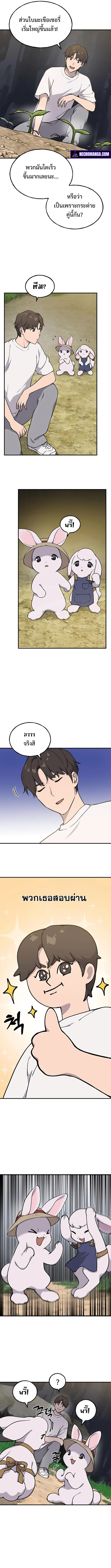 Solo Farming In The Tower ตอนที่ 3 หน้า 5