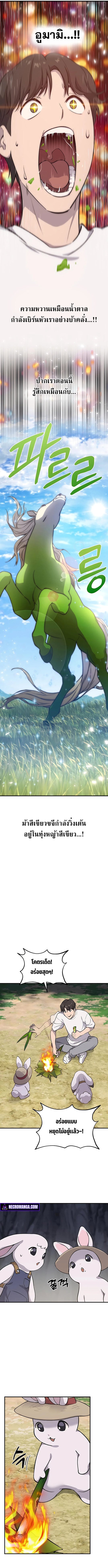 Solo Farming In The Tower ตอนที่ 3 หน้า 15