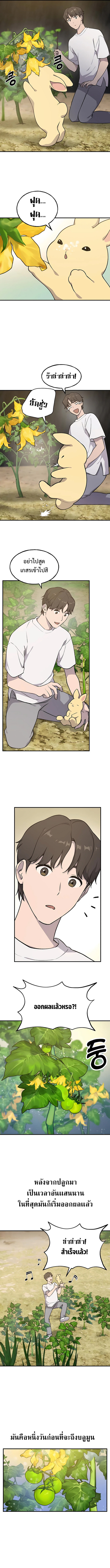 Solo Farming In The Tower ตอนที่ 4 หน้า 8