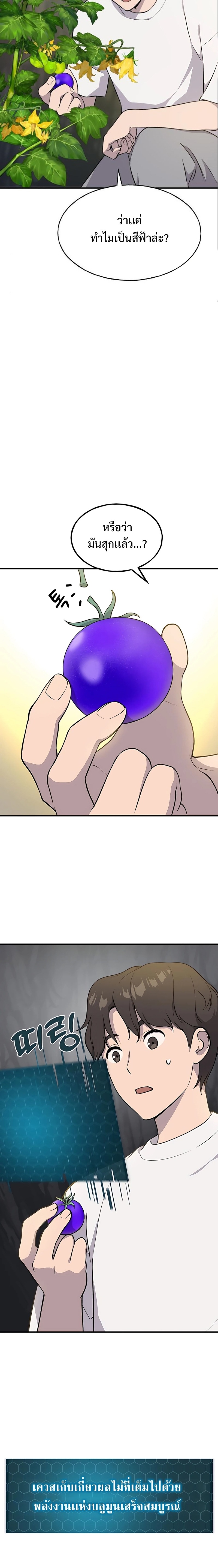 Solo Farming In The Tower ตอนที่ 5 หน้า 11