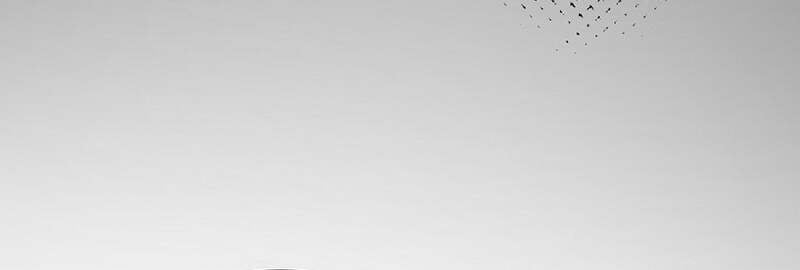 Fated to Be Loved by Villains โชคชะตากำหนดให้สาวๆตัวร้ายมารักฉัน ตอนที่ 5 หน้า 50