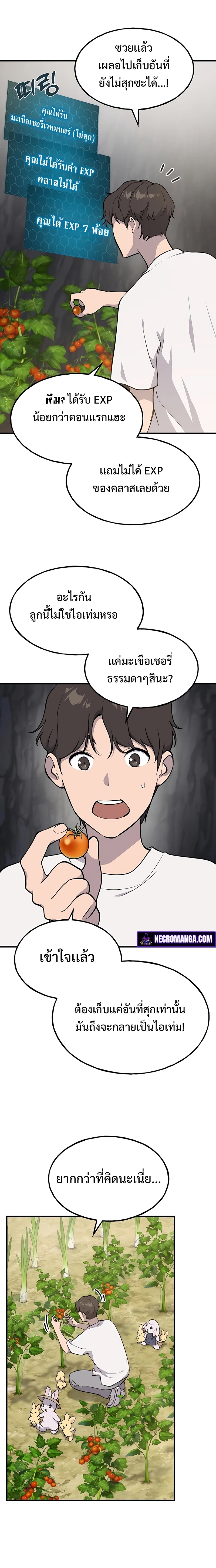 Solo Farming In The Tower ตอนที่ 6 หน้า 17