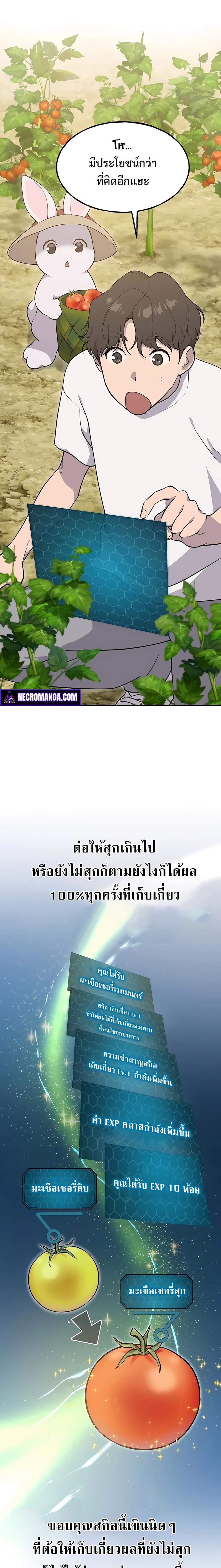 Solo Farming In The Tower ตอนที่ 6 หน้า 30