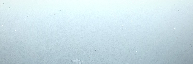 Omniscient Reader อ่านชะตาวันสิ้นโลก ตอนที่ 75 หน้า 130