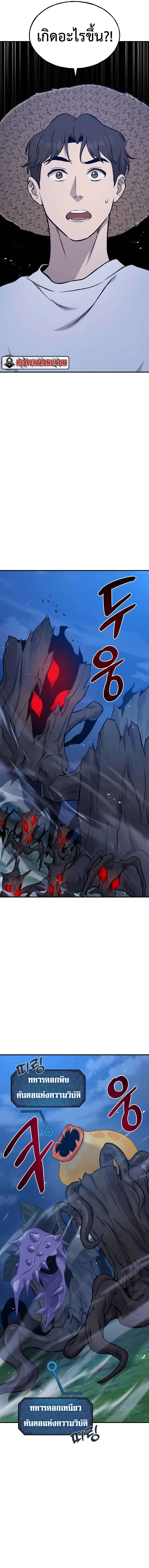 Solo Farming In The Tower ตอนที่ 81 หน้า 13