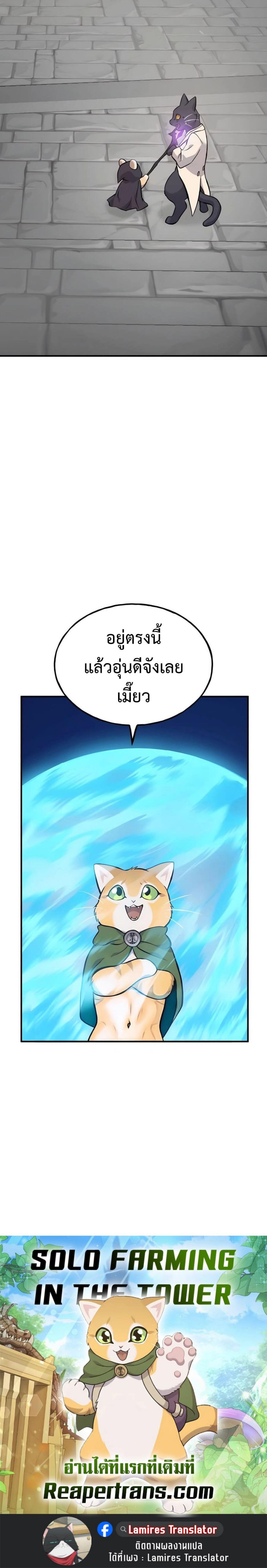 Solo Farming In The Tower ตอนที่ 84 หน้า 33