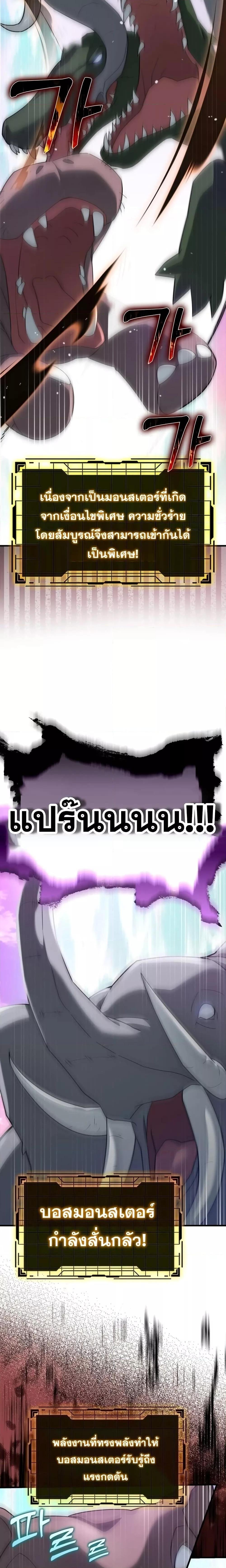 Max Level Player ตอนที่ 27 หน้า 11