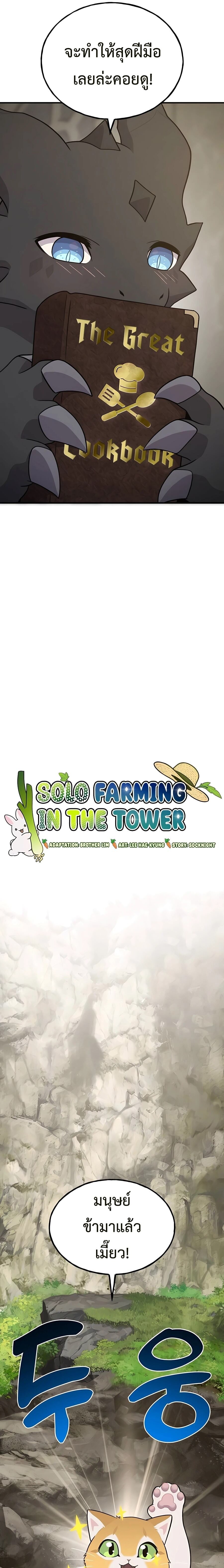 Solo Farming In The Tower ตอนที่ 45 หน้า 13