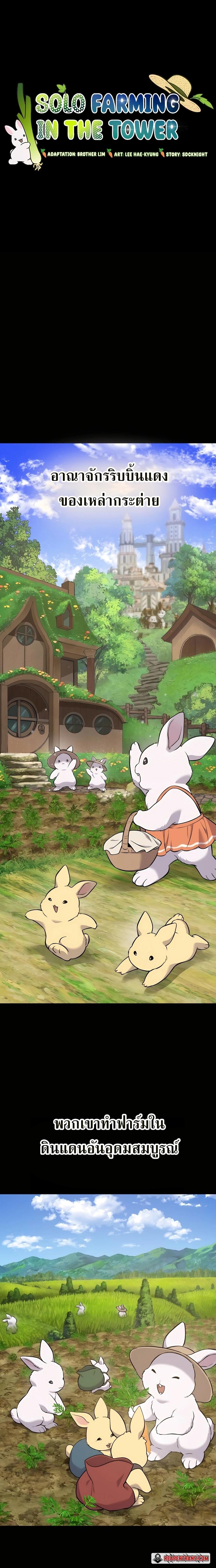 Solo Farming In The Tower ตอนที่ 57 หน้า 10