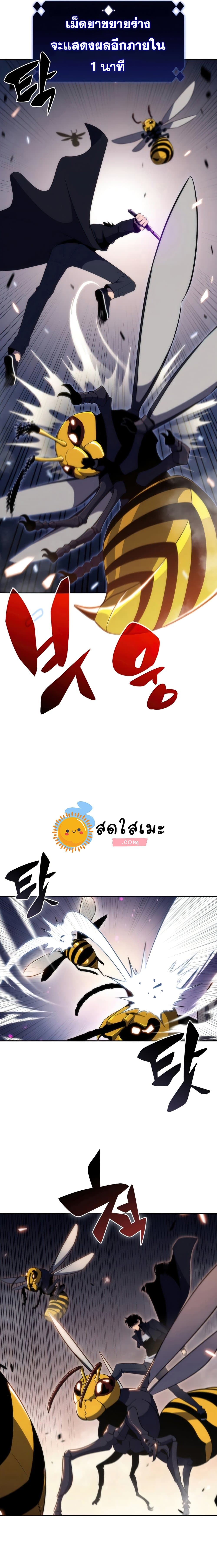 Solo Max-Level Newbie ผู้เล่นหน้าใหม่เลเวลแมกซ์ ตอนที่ 30 หน้า 8