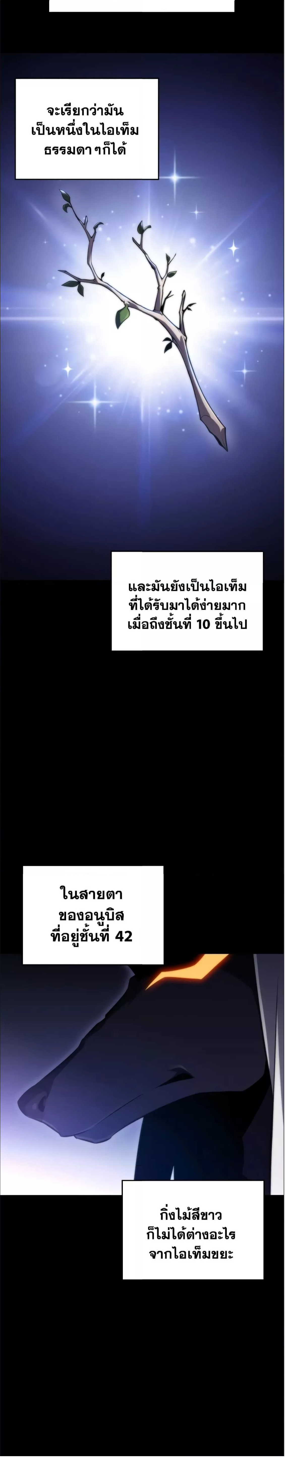 Solo Max-Level Newbie ผู้เล่นหน้าใหม่เลเวลแมกซ์ ตอนที่ 56 หน้า 34