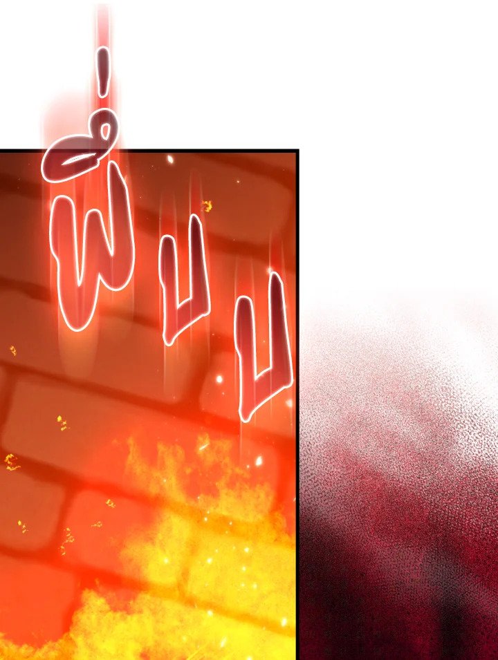 Max Level Player ตอนที่ 75 หน้า 47