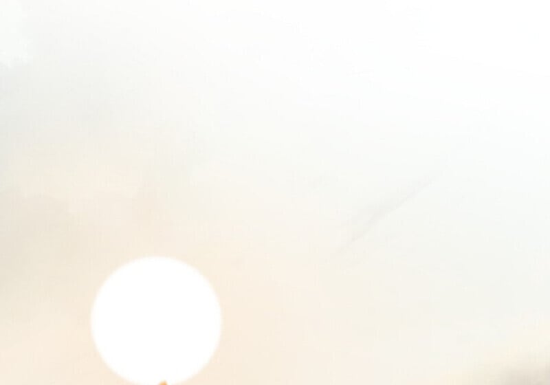 Childhood Friend of the Zenith ตอนที่ 85 16