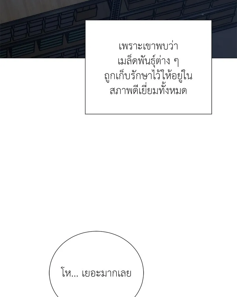 Hunter World’s Gardener คนสวนโลกฮันเตอร์ ตอนที่ 55 หน้า 47